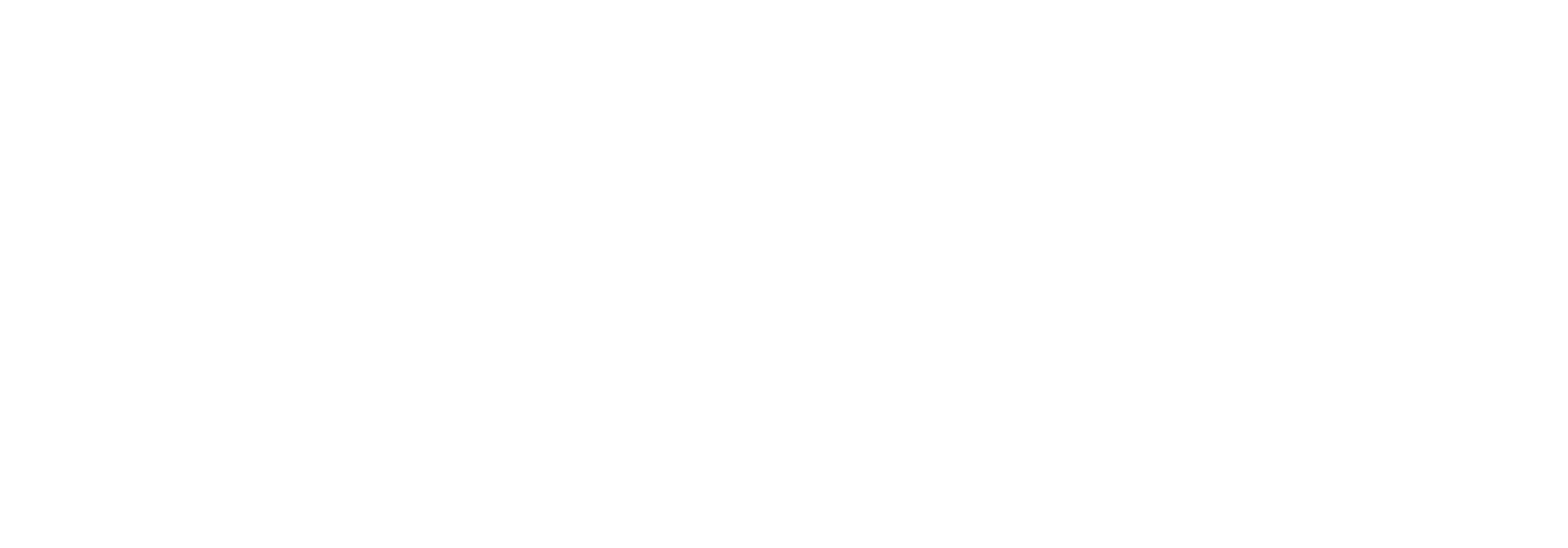 Netfolios-Horizontal-White-PNG